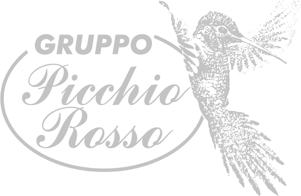 Gruppo il picchio rosso